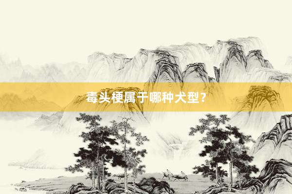 毒头梗属于哪种犬型？